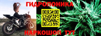 гашиш Новодвинск
